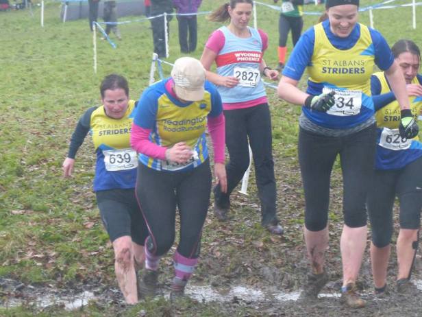 12666278_872585152840889_1306820459_n