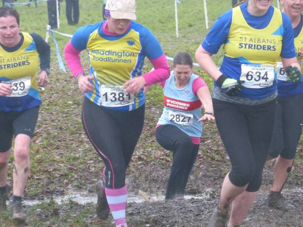 12714041_872585096174228_1479055793_n