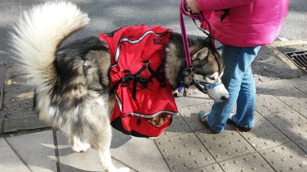 2016-03-02 07-49-19 (33)